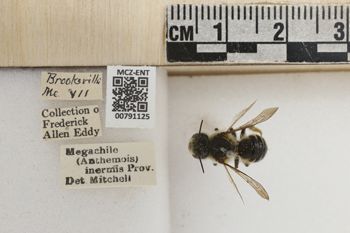 Media type: image;   Entomology 791125 Aspect: Labels
